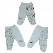 "�����" �������� �� ������� ������� ����� "�����" ��006